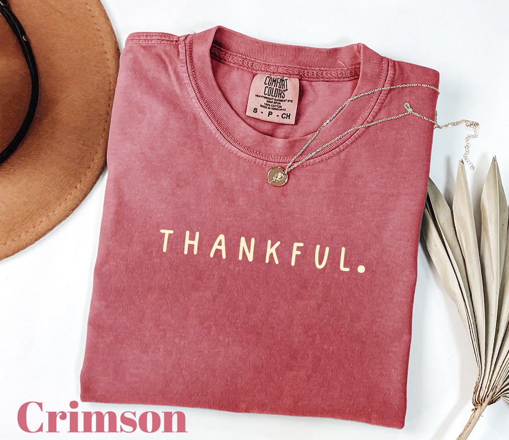 Comfort colors Thankful Shirt, Thanksgiving cute shirt (QS1003)