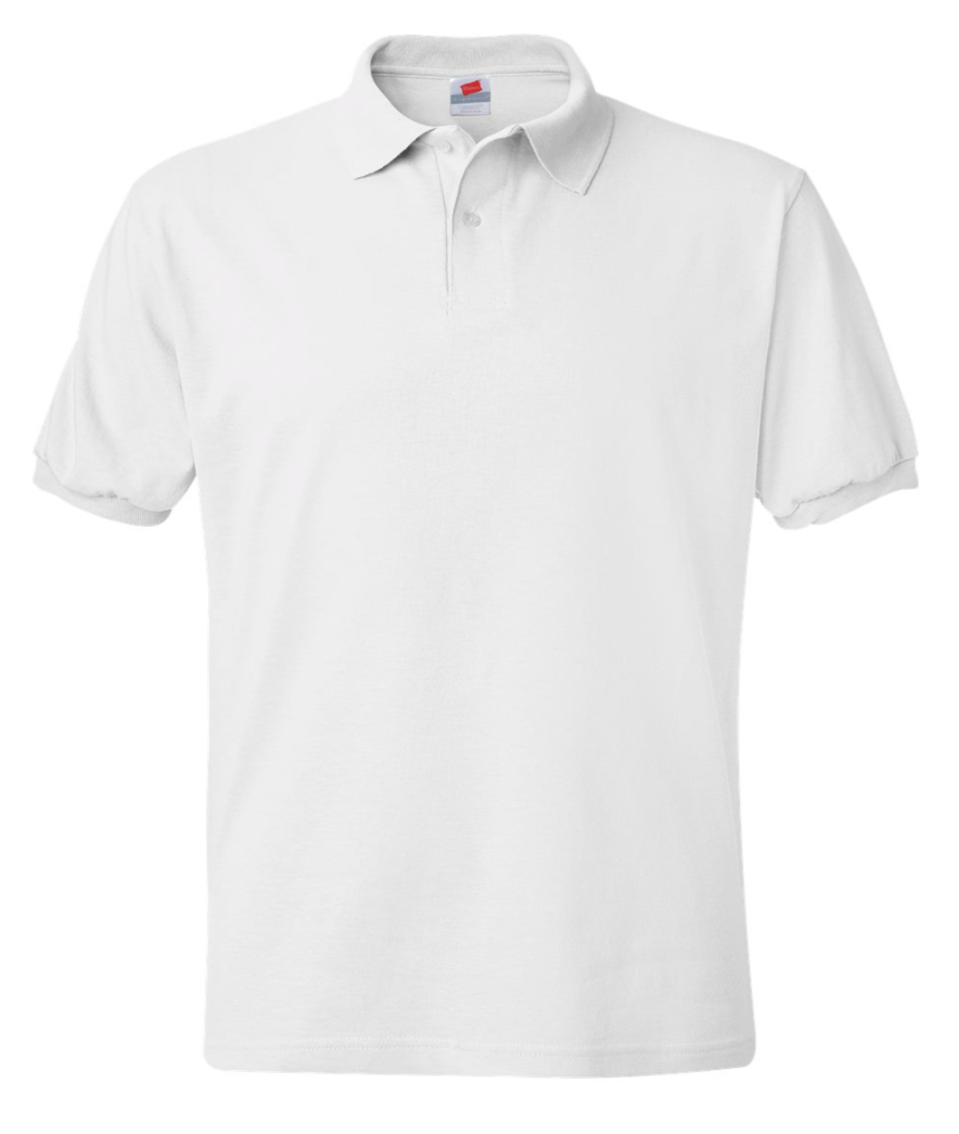 Unisex Adult Hanes Polo Shirt, Custom Text/Logo,Personalized Design(054X)