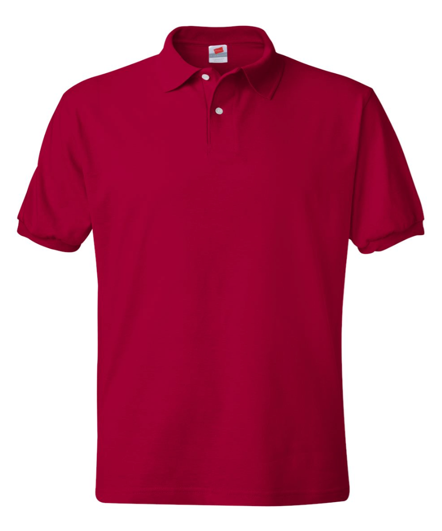 Unisex Adult Hanes Polo Shirt, Custom Text/Logo,Personalized Design(054X)