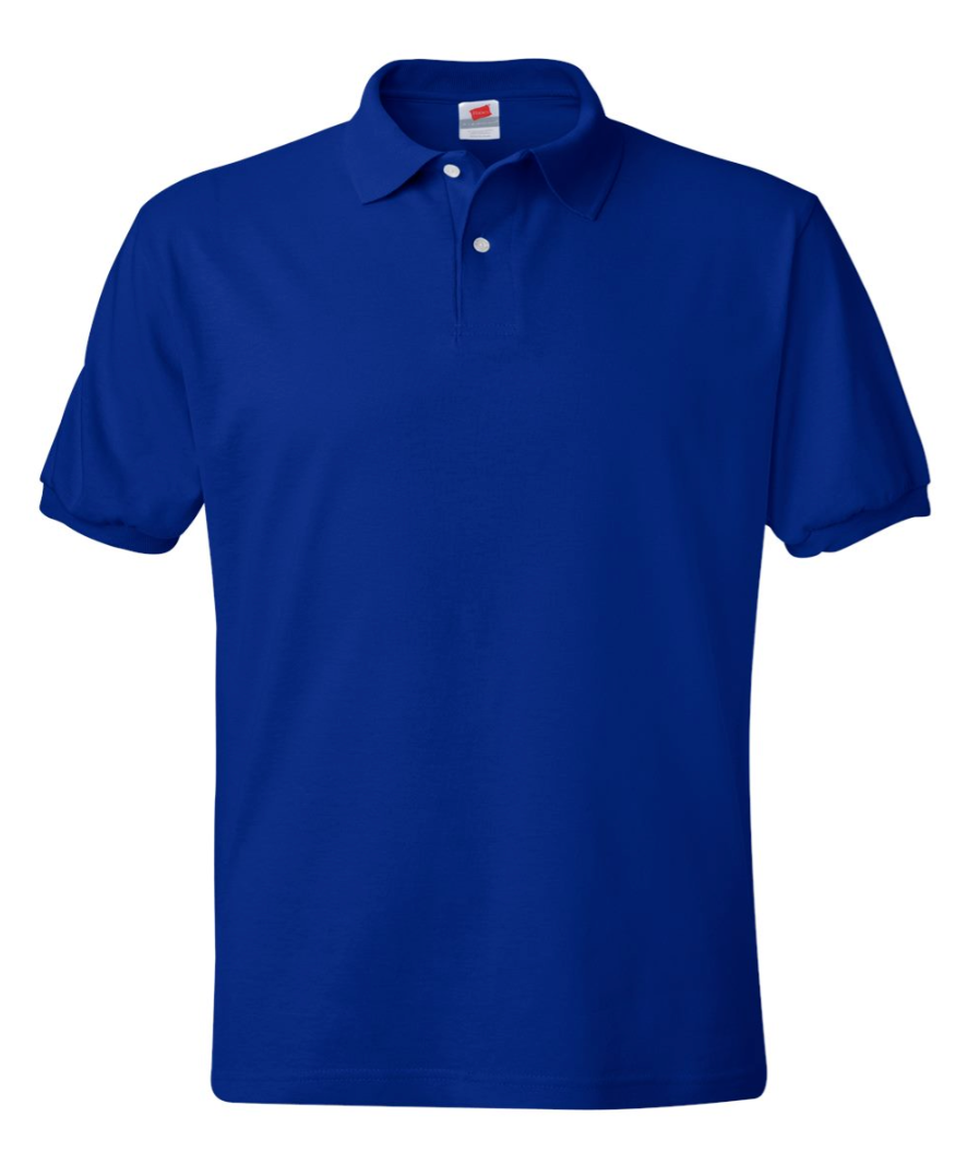 Unisex Adult Hanes Polo Shirt, Custom Text/Logo,Personalized Design(054X)