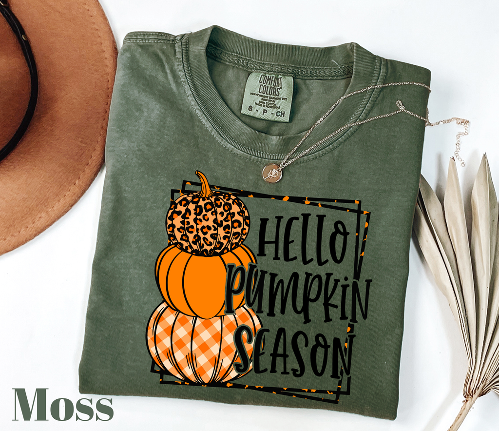 Comfort color Pumpkin Shirt, halloween pumpkin cute shirt,(QS1539)