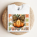 Pumpkin Season Time,Fall Shirts(QS1011)